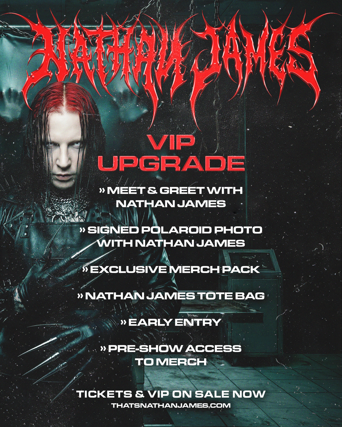 LIVE AND LEWD TOUR - VIP UPGRADE: Meet and Greet